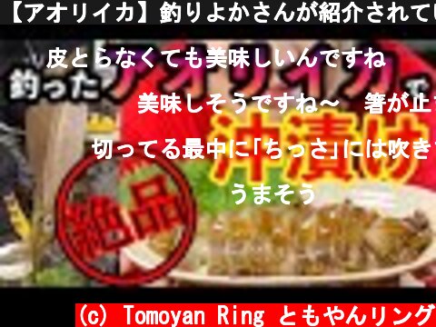 【アオリイカ】釣りよかさんが紹介されていたイカの沖漬けを真似したら、めちゃくちゃ美味しかった！  (c) Tomoyan Ring ともやんリング